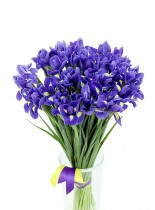 Bouquet of 51 Iris