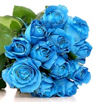 Bouquet of blue roses 25 pcs.